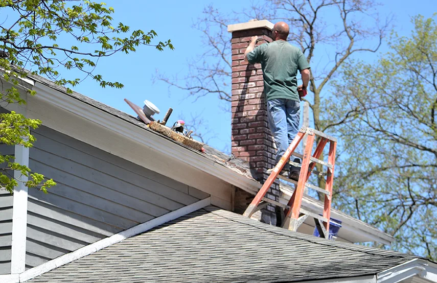 Chimney & Fireplace Inspections Services in Kingsport, TN